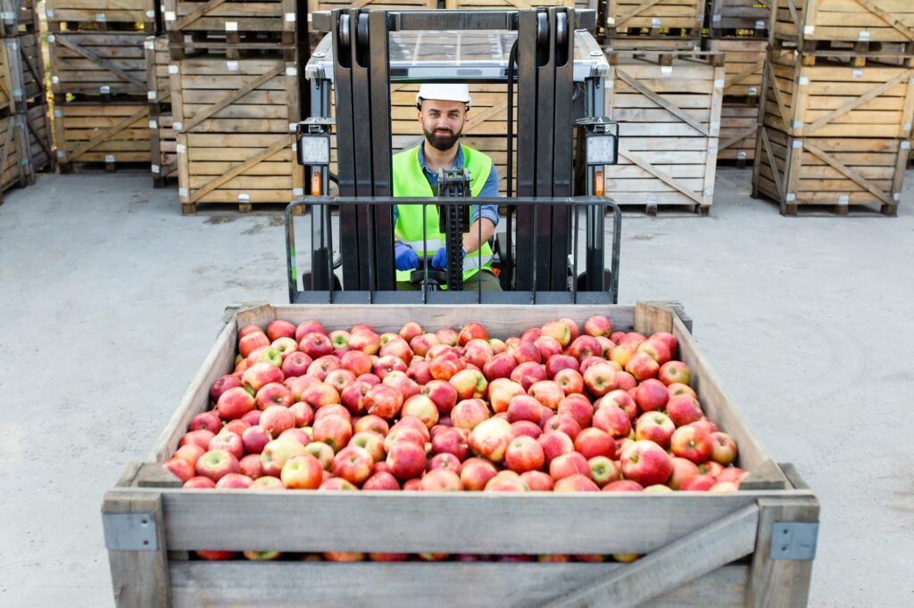 Work in warehouse, storage and distribution of fruit for production