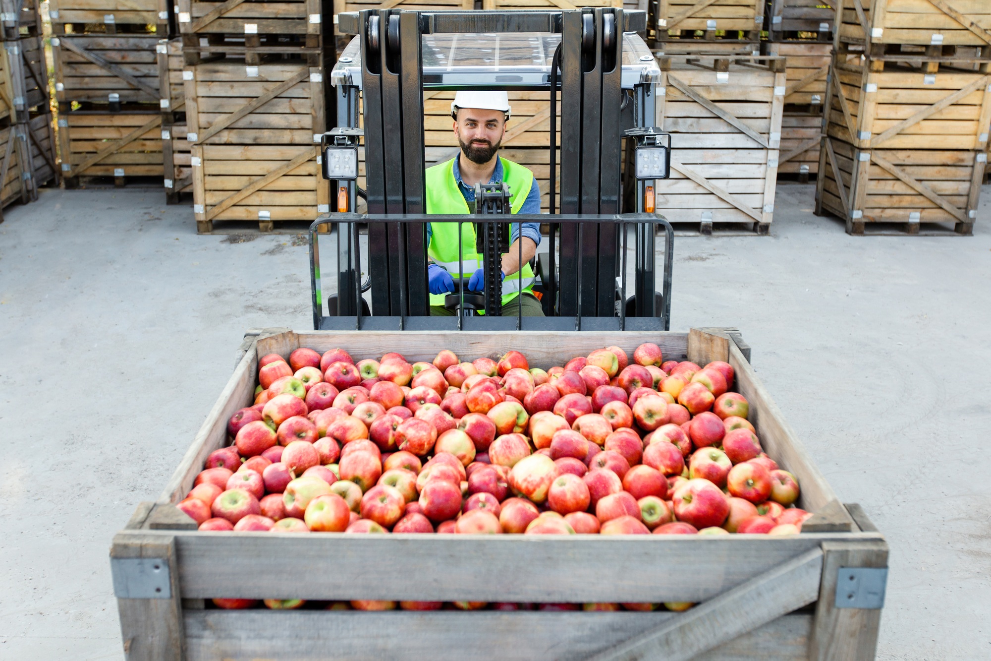 Work in warehouse, storage and distribution of fruit for production